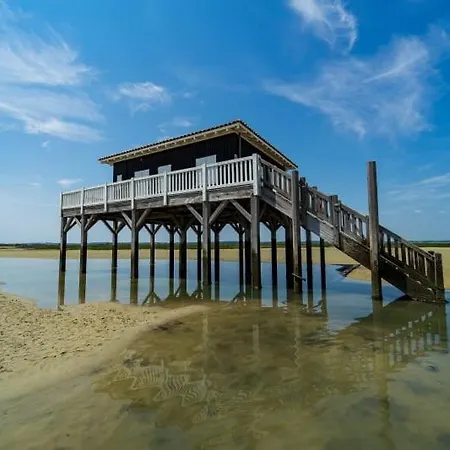 キャンプ場 Officiel Siblu Les Viviers *