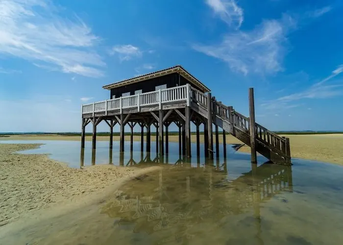 캠프장 Officiel Siblu Les Viviers *